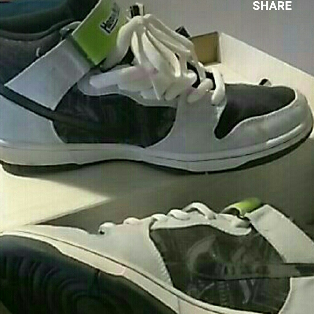 RARE Nike SB Heavy Mental